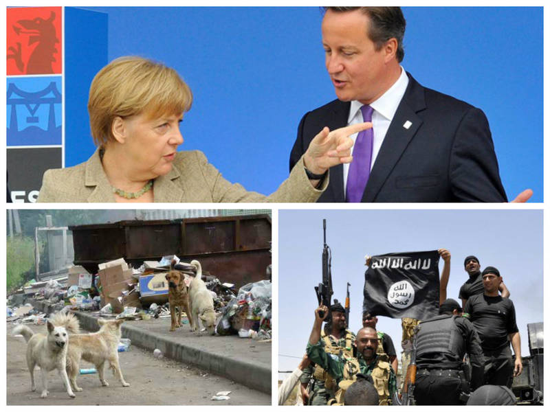 Интервью со смертником ИГИЛ, собаки Донбасса и выход Британии из ЕС. Обзор западных СМИ