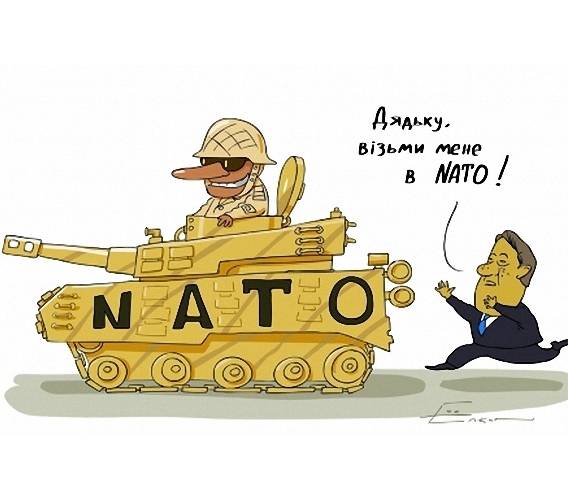 Член НАТО и Украина