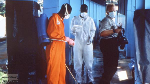 Медики бессильны сдержать распространение Эболы