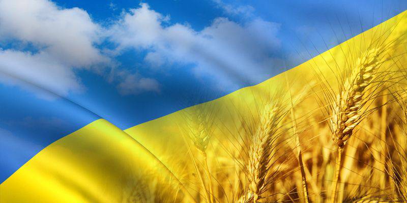 Украинская болезнь: о врачевании и врачевателях Украинская болезнь: о врачевании и врачевателях