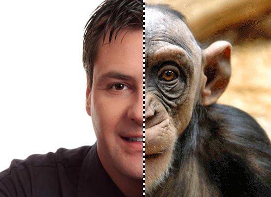 От человека к обезьяне. Краткое исследование либерального проекта