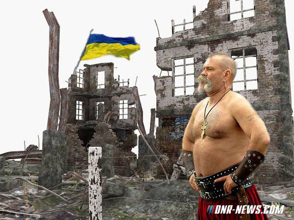 Украина : кто виноват и что делать?