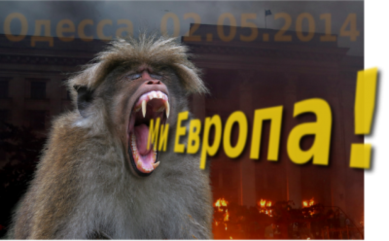 Карнавал диких павианов Карнавал диких павианов