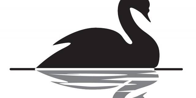 Семь черных лебедей для мировой экономики в 2015 году