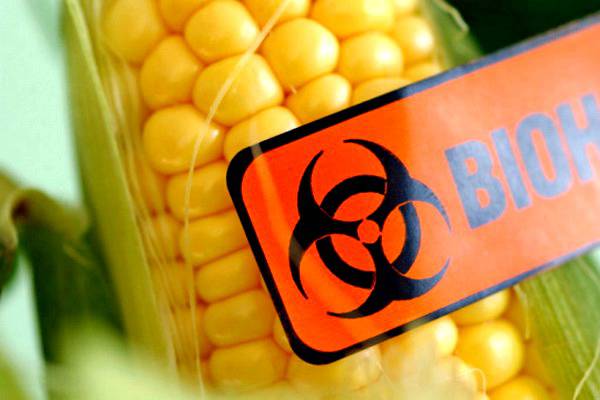 Запад скупает украинские земли для выращивания запрещённых в ЕС ГМО Запад скупает украинские земли для выращивания запрещённых в ЕС ГМО