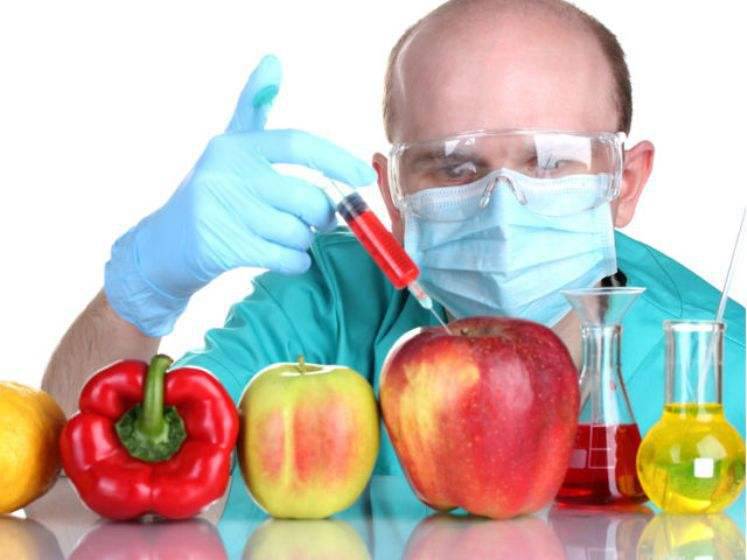 В России могут запретить продукты с ГМО