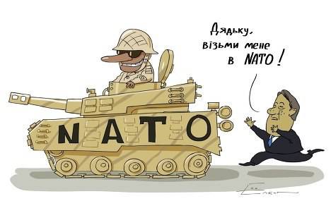 Имидж — все: ради собственной репутации НАТО откажет Украине