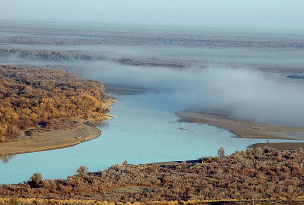 Ядовитые воды