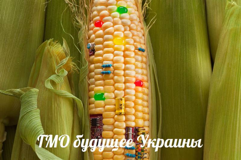 ГМО будущее Украины — События дня. Взгляд патриота — 14.04.2015