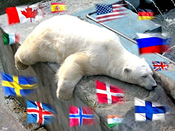 Мягкая сила США против российской «экспансии» в Арктике