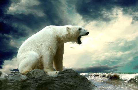 Борьба за Арктику продолжается
