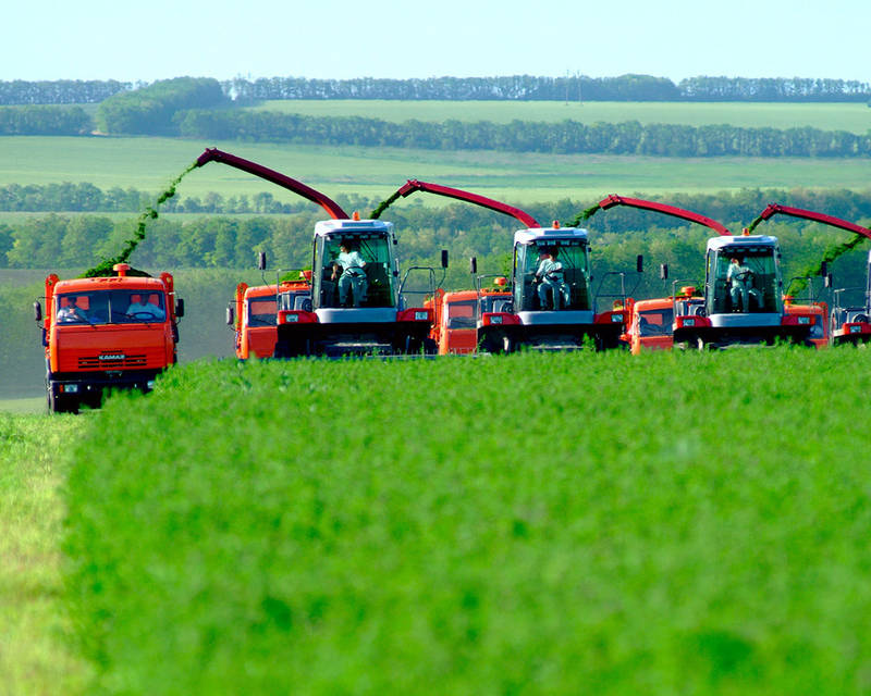 Белорусское сельское хозяйство: без реформ – путь в никуда