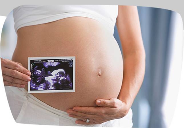 Кто защитит права эмбриона?