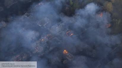 Дым над Чернобыльской пущей: лес рубят — изотопы летят