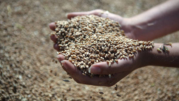 Украина с помощью поставок зерна хочет спасти от голода Азию и Африку