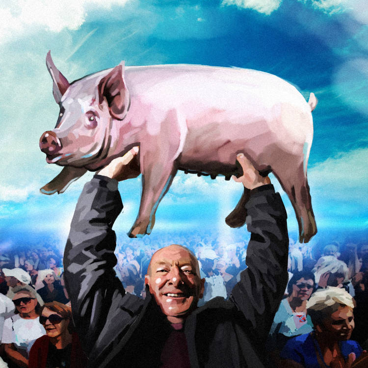 Политика Украины: дело свиней