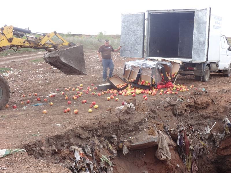 Санкционные продукты: уничтожена крупная партия польских яблок