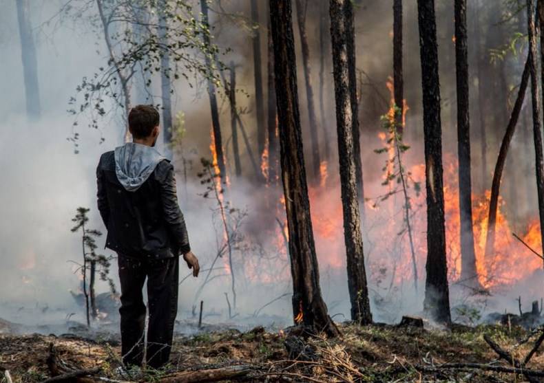 Детективная история с пожарами на Байкале: кто виноват?