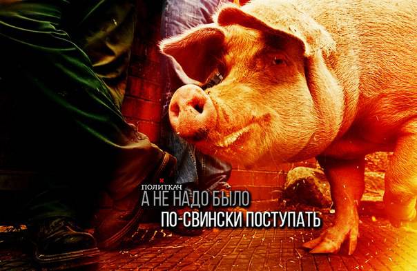 France Info: Россия подложила Франции «свинью» на 800 миллионов евро