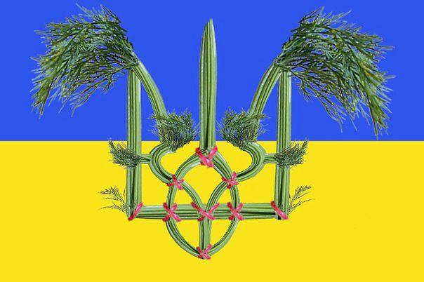 «У меня муж — упоротый укроп» «У меня муж — упоротый укроп»