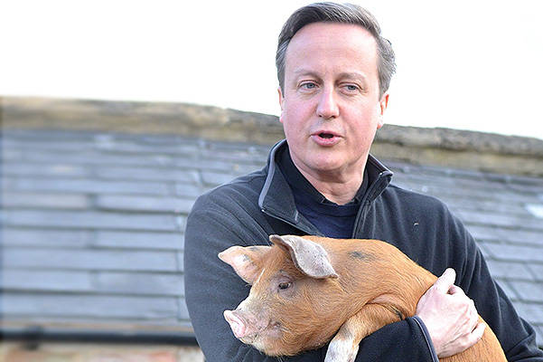 Дэвид Кэмерон и свиная голова британской элиты