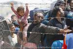 Сербию превращают в лагерь для беженцев