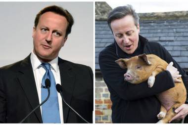 The Daily Mail: Кэмерон занимался сексом со свиньёй и употреблял наркотики