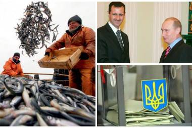 Избавление от Януковича, поддержка Сирии и рыбное спасение России. Обзор западных СМИ