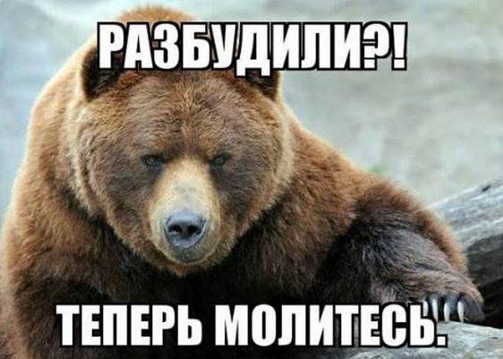 Он проснулся... Он проснулся...