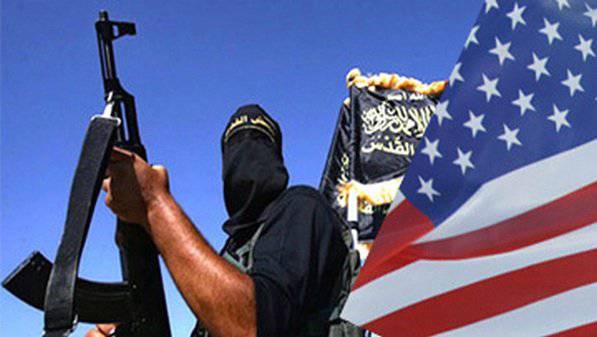 США лоббируют в Вене «Аль-Каиду»