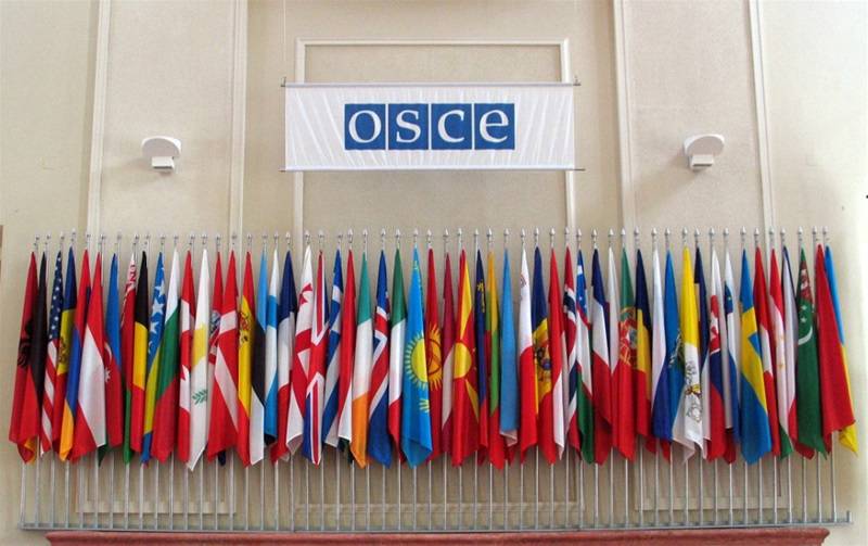 ОБСЕ превращается в "политический таран"