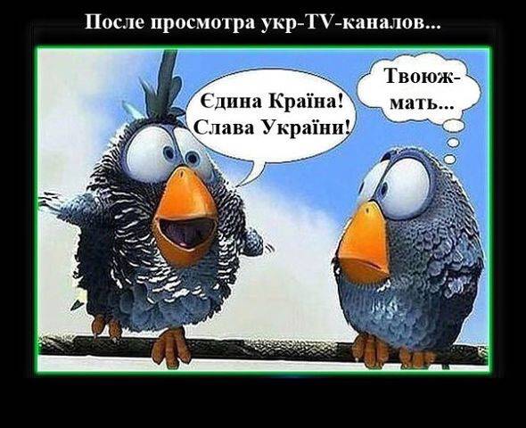 Новости дна Новости дна