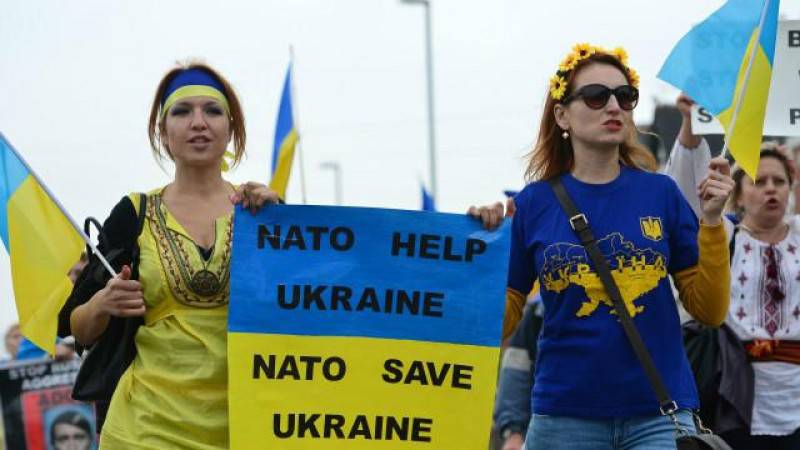 Петиция о референдуме по вступлению Украины в НАТО собрала 25 тыс голосов