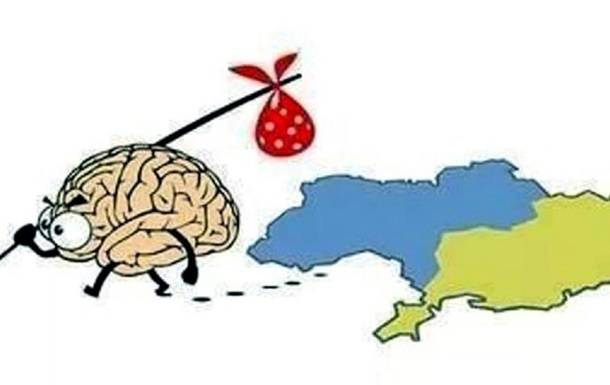 Дуркаина – страна победившая разум Дуркаина – страна победившая разум