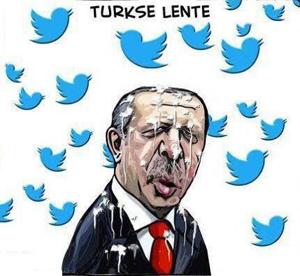 Результаты опроса в Турции возмутил Эрдогана. Опрос в twitter срочно удалили