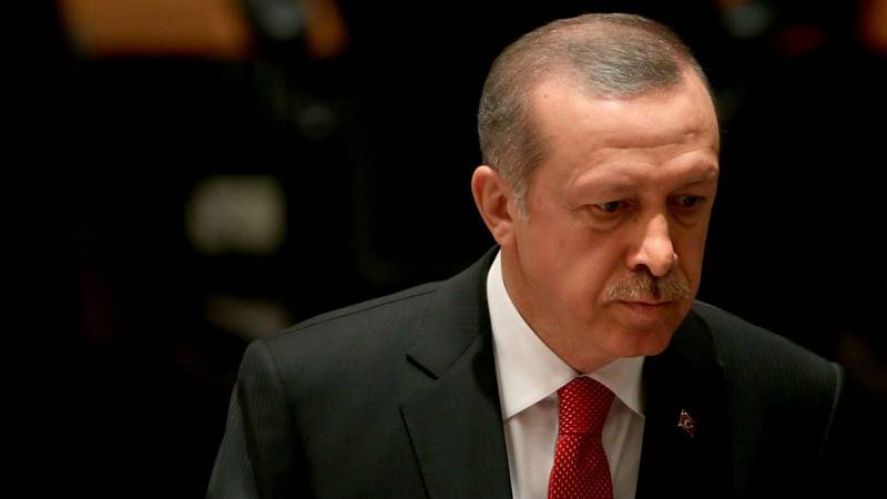 Пределы дозволенного, или Цугцванг «Группы Эрдогана»