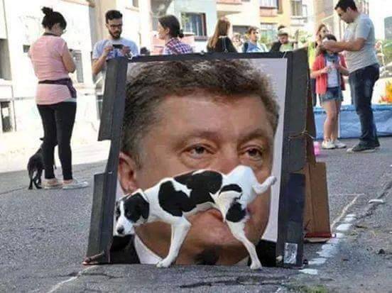 Хозяин Байден назначил Порошенко любимой женой! Хозяин Байден назначил Порошенко любимой женой!