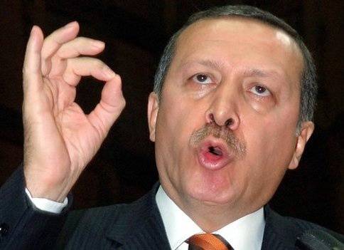 "США нашли новый способ, как сделать Эрдогана тараном против ЕС и России"