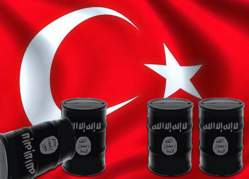 МИД Норвегии подтвердил связь Турции с ИГ