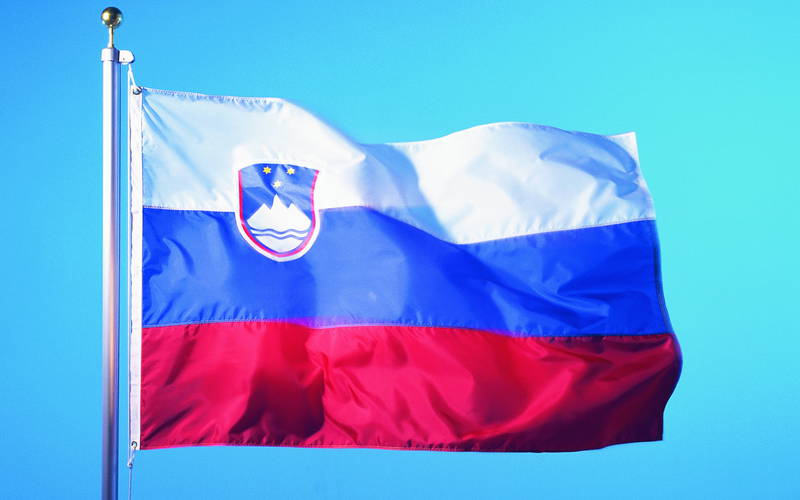 Словения будет пропускать только беженцев, следующих в Австрию или ФРГ Словения будет пропускать только беженцев, следующих в Австрию или ФРГ