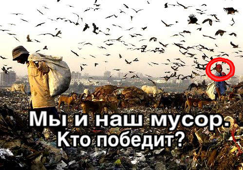 Мы и наш мусор. Кто победит?