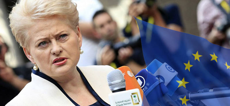 Евросоюз обрушился на Литву с резкой критикой