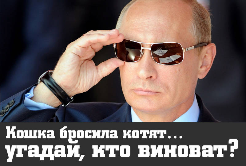 Кошка бросила котят - угадай, кто виноват?