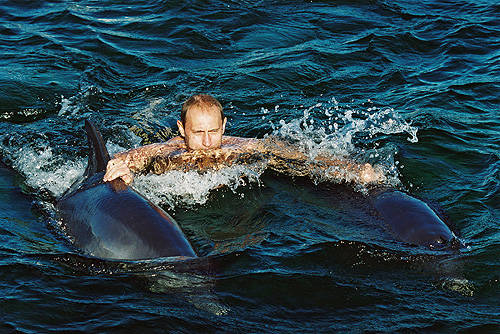 «Уберите дельфинов от безумного Путина»: кретинизм западных СМИ