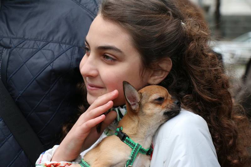 Путин подарил девочке из Донецкой области Янтарного Гарри