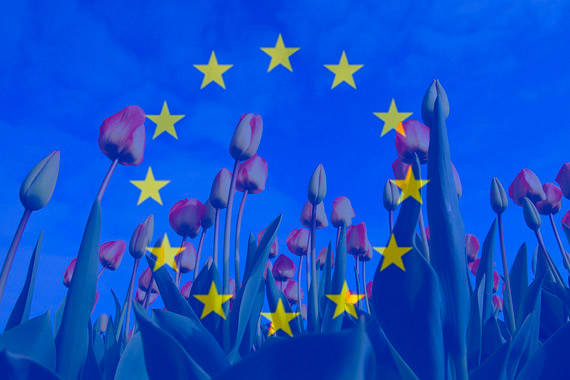 Европейская весна: все началось с голландских тюльпанов