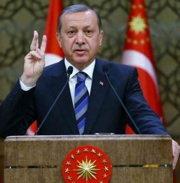 Турция угрожает Нидерландам из-за карикатур на Эрдогана