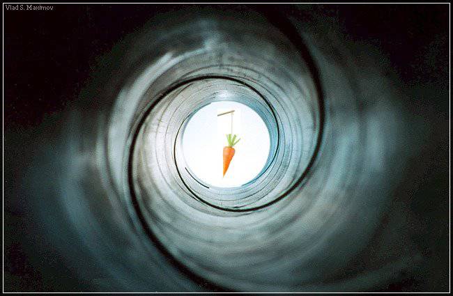 Украина и морковка в конце тоннеля