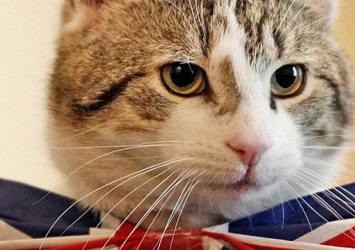 Коты МИД РФ преподали британскому Палмерстону урок дипломатии