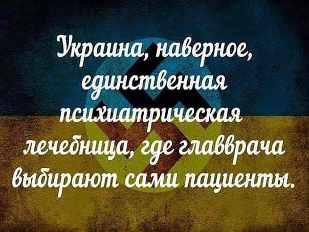 Украина: Вся безумная больница у экрана собралась… Украина: Вся безумная больница у экрана собралась…